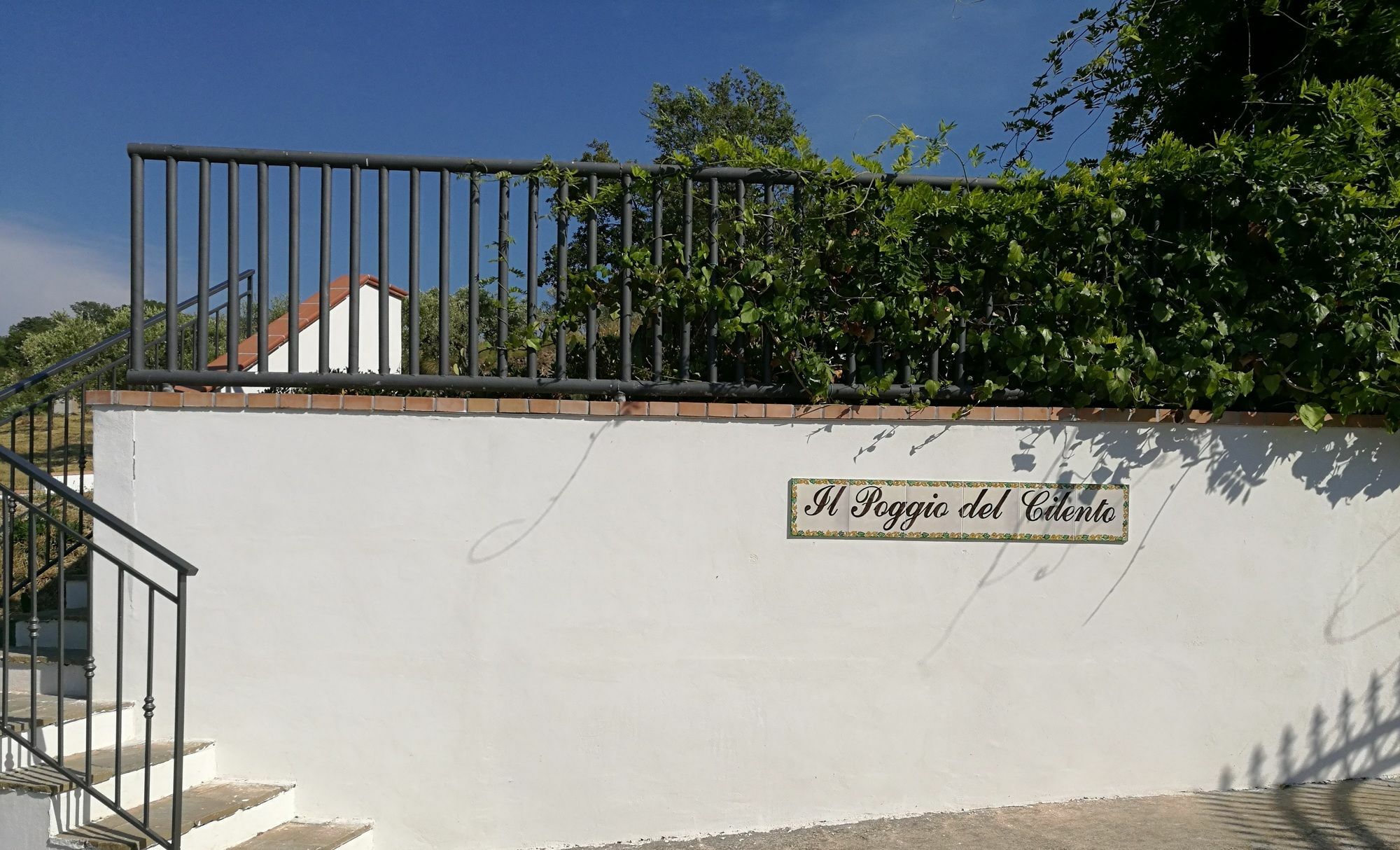Il Poggio Del Cilento Country House Agropoli Exterior photo